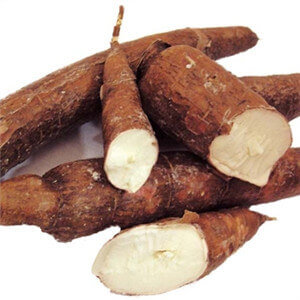 Cassava Machinery